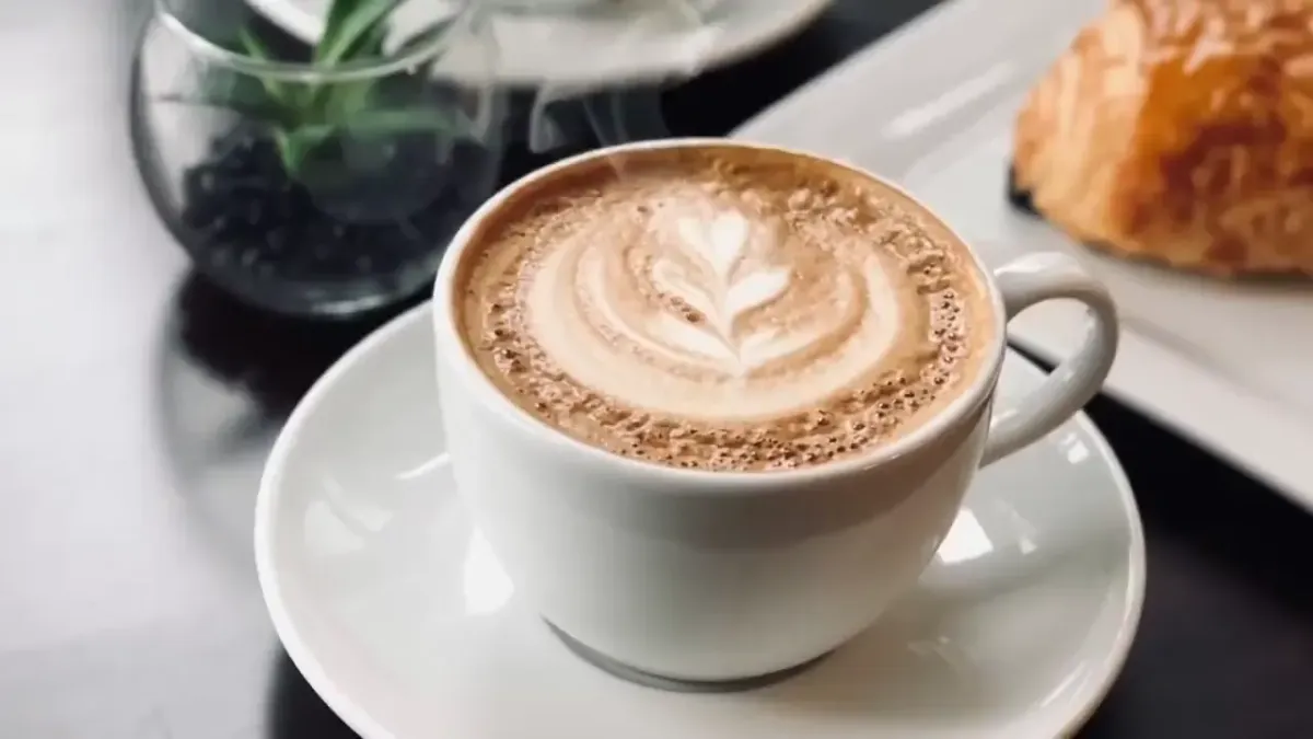 Barra y ambiente de la cafetería de demostración Bruma
